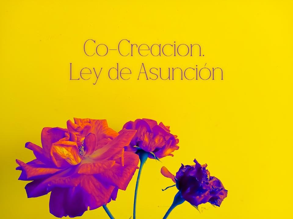 Portada de S. 10 CO-CREACION. Ley de Asunción.