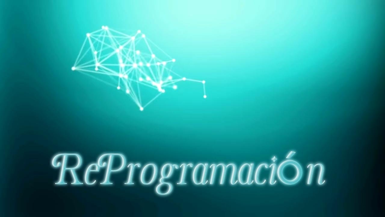 Portada de S. 8 RE-PROGRAMACION